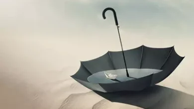انشا در مورد قناعت ثروتی است پایان ناپذیر با مقدمه بدنه نتیجه