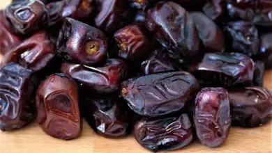 انشا در مورد رطب با مقدمه بدنه نتیجه