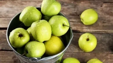 انشا در مورد سیب با مقدمه بدنه نتیجه