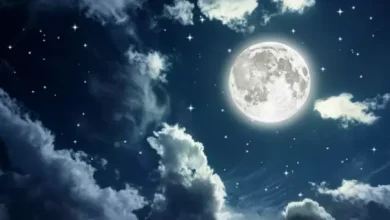 انشا در مورد شب مهتابی با مقدمه بدنه نتیجه
