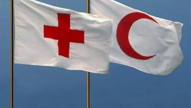 انشا در مورد صلیب سرخ با قمدمه بدنه نتیجه
