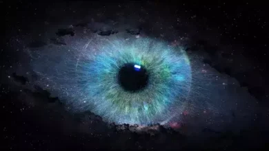 انشا در مورد حقیقت و واقعیت با مقدمه بدنه نتیجه