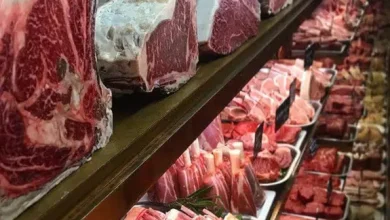 انشا در مورد قصابی با مقدمه بدنه نتیجه