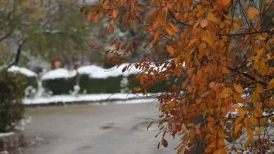 انشا در مورد سرمای پاییز با مقدمه بدنه نتیجه