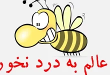 انشا در مورد عالم بی عمل با مقدمه بدنه نتیجه
