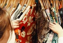 انشا در مورد هیچ ارزانی بی علت نیست با مقدمه بدنه نتیجه