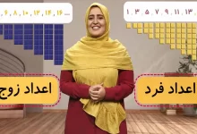 انشا در مورد زوج و فرد با مقدمه بدنه نتیجه
