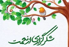 انشا در مورد شکر نعمت نعمتت افزون کند با مقدمه بدنه نتیجه