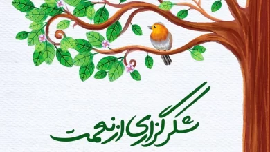 انشا در مورد شکر نعمت نعمتت افزون کند با مقدمه بدنه نتیجه