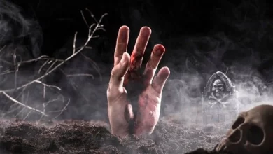 انشا در مورد مرگ انسانیت با مقدمه بدنه نتیجه