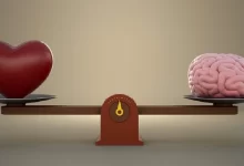 انشا در مورد مغز و قلب 🧠❤️ با مقدمه بدنه نتیجه
