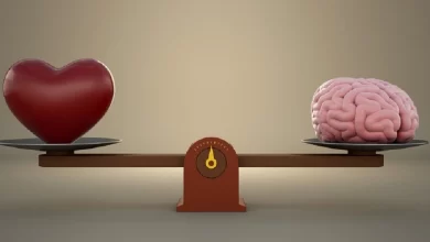 انشا در مورد مغز و قلب 🧠❤️ با مقدمه بدنه نتیجه
