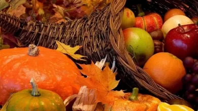 انشا در مورد میوه های فصل پاییز با مقدمه بدنه نتیجه
