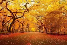 انشا در مورد پاییز برای دبیرستان با مقدمه بدنه نتیجه