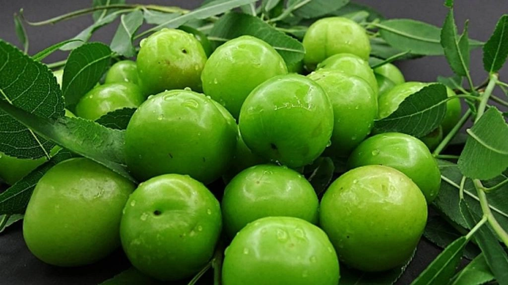 انشا در مورد گوجه سبز با مقدمه بدنه نتیجه