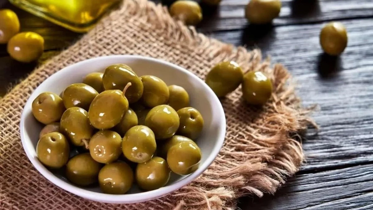 انشا در مورد زیتون با مقدمه بدنه نتیجه