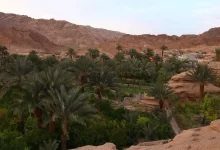 انشا در مورد رودبار جنوب با مقدمه بدنه نتیجه